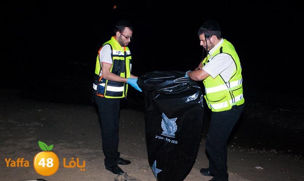 3aregmontreeh520 (17).jpg